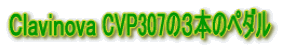 b CVP307̂R{̃y_